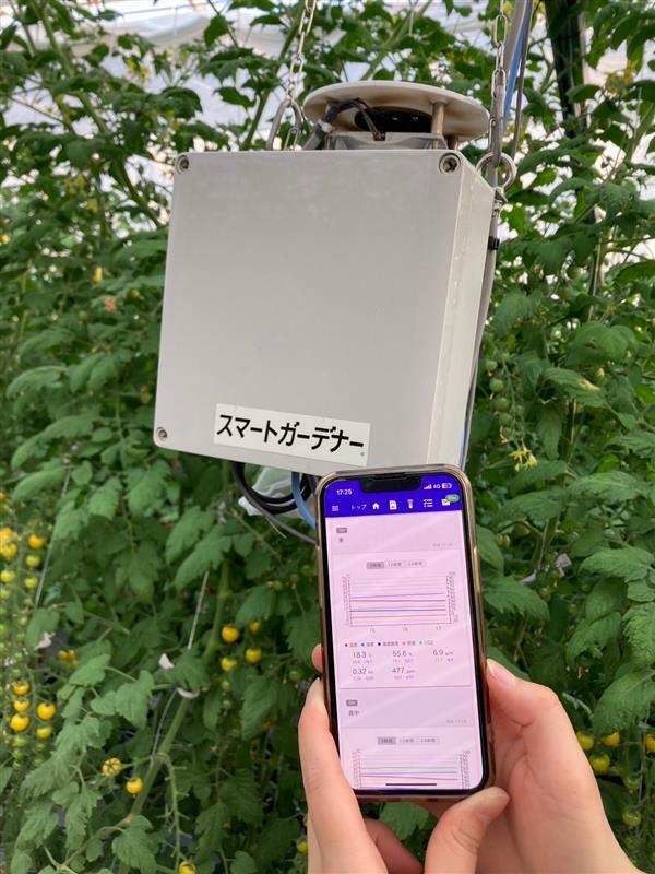 施設園芸自動化の実績